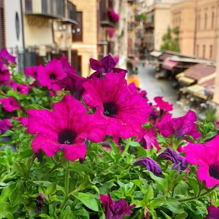 Il Rosone Luxury B&B Palerme Extérieur photo